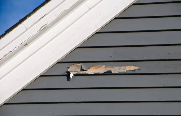 Best Vinyl Siding Installation  in Rockwell, NC